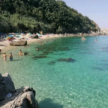 Bibio Parghelia