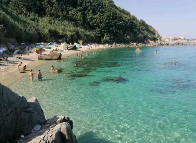 Bibio 파르겔리아