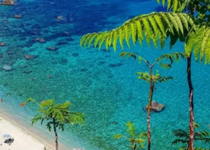 B&B Bibio 파르겔리아