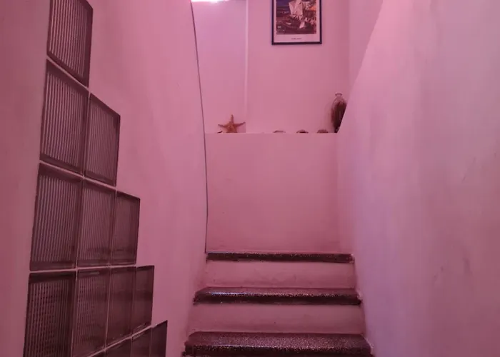 Bibio 파르겔리아