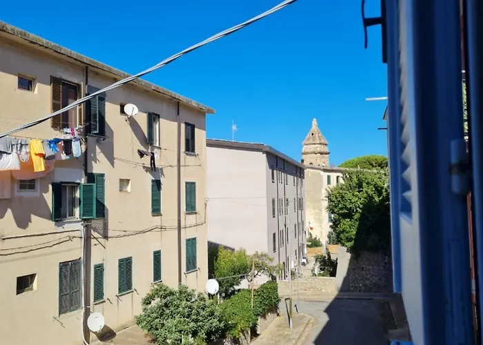 Bibio 파르겔리아